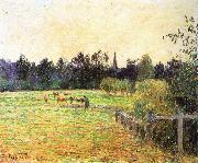 Camille Pissarro Cattle Spain oil painting artist